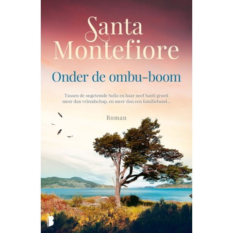 Onder de ombu-boom (Paperback)