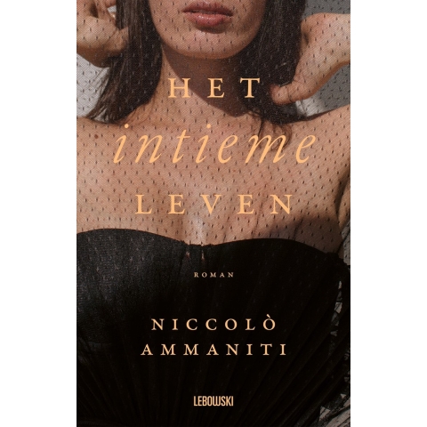 Het intieme leven (Paperback)