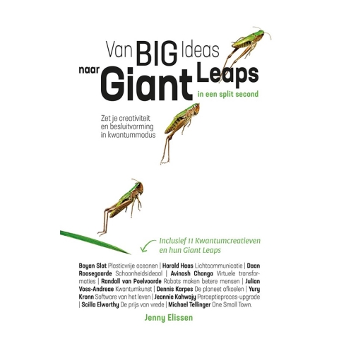 Van Big Ideas naar Giant Leaps. In een split second. (Paperback)