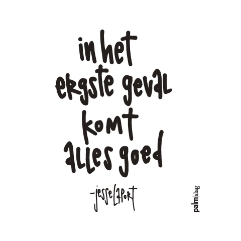 In het ergste geval komt alles goed (Paperback)