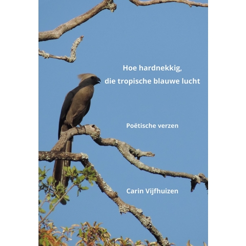 Hoe hardnekkig, die tropische blauwe lucht (Paperback)