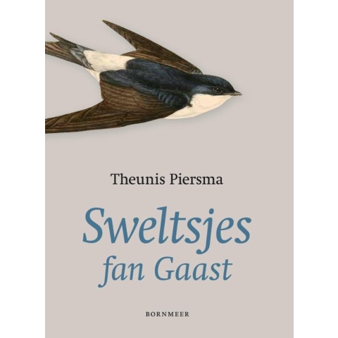 Sweltsjes fan Gaast (Paperback)