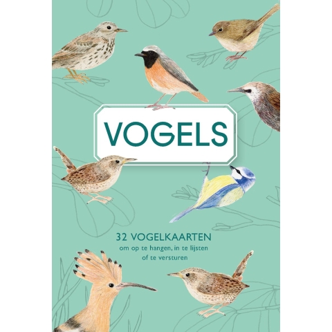 Vogels (Hardback)