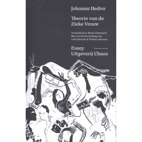 Theorie van de Zieke Vrouw (Paperback)