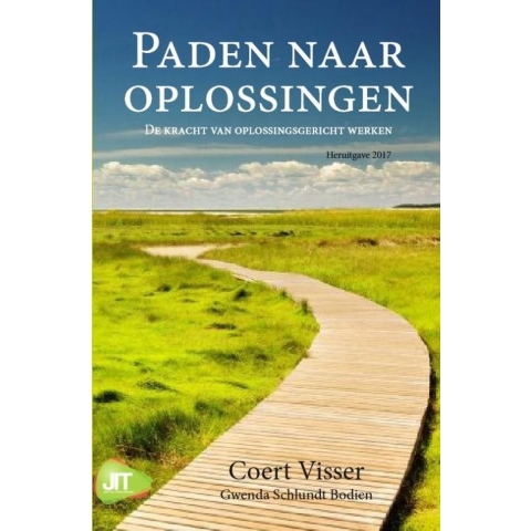 Paden naar oplossingen (Paperback)