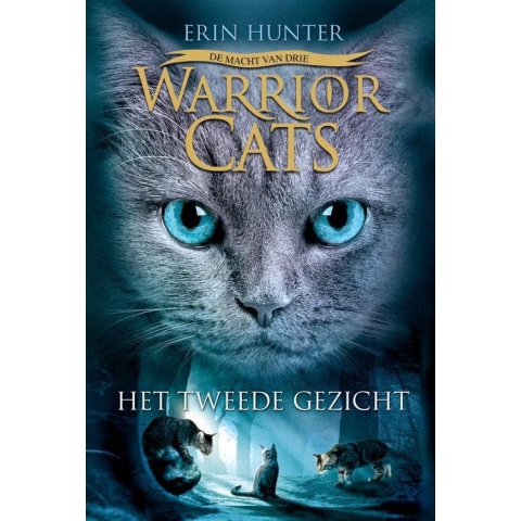 Het tweede gezicht (Hardback)