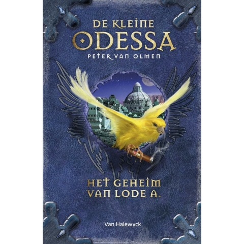 Het geheim van Lode A (Hardback)