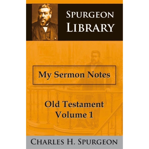 My Sermon Notes Old Testament (Paperback)