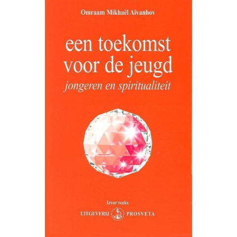 Een toekomst voor de jeugd (Hardback)