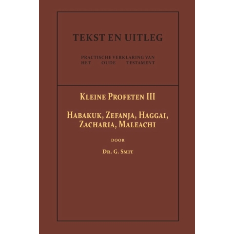 De Kleine Profeten III (Paperback)