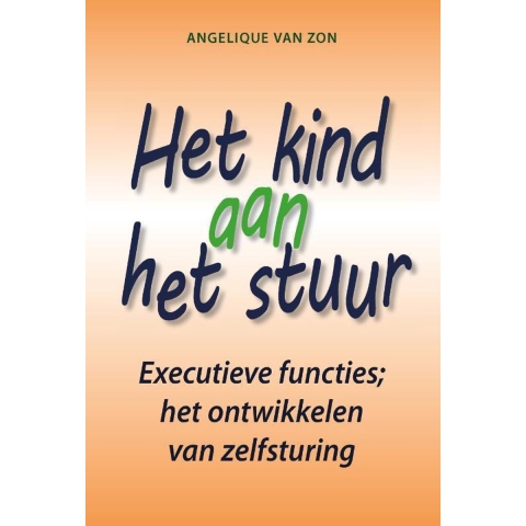 Het kind aan het stuur (Paperback)