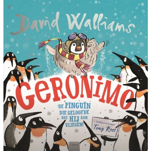 Geronimo (Hardback)