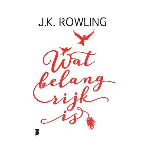 Wat belangrijk is (Hardback)