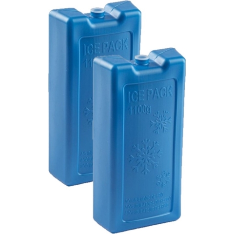 PlasticForte Koelementen - 8x stuks - 1,1 kg - 22 x 11 x 5 cm - extra groot -