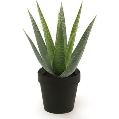 Kunstplant Aloe Vera - groen - in zwarte pot - 23 cm -