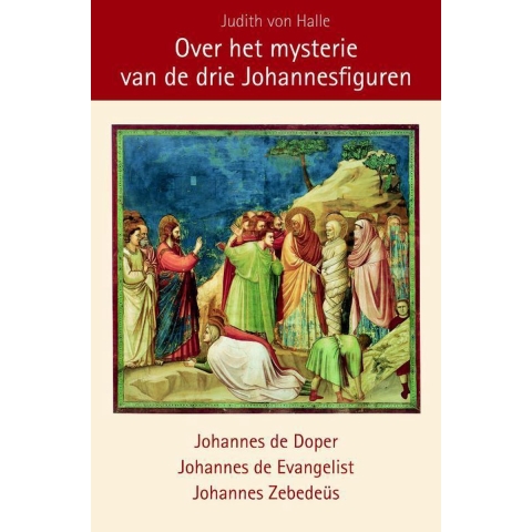 Over het mysterie van Lazarus en de drie Johannesfiguren (Hardback)