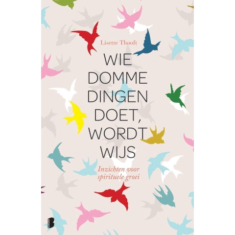 Wie domme dingen doet wordt wijs (Hardback)