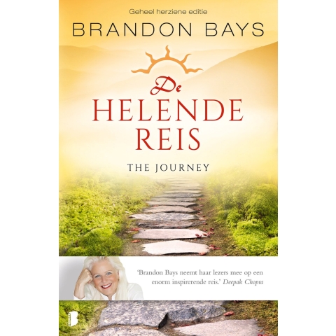 De helende reis (Paperback)