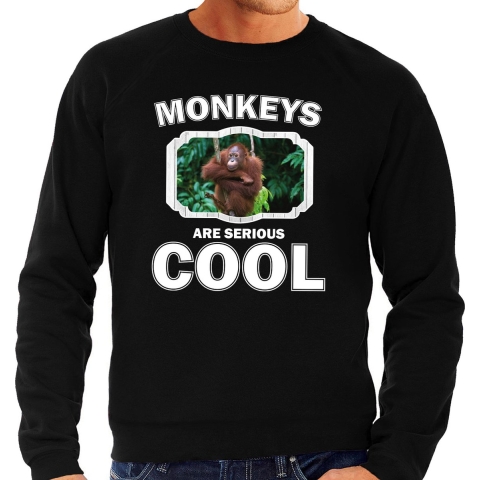 Dieren orangoetan sweater zwart heren - monkeys are cool trui XL -