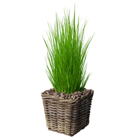 Planten/bloemen mand - vierkant - rotan - gevlochten riet - L27 x B27 x H25 cm - plantenpot -