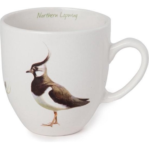 Mok kievit - Elwin van der Kolk