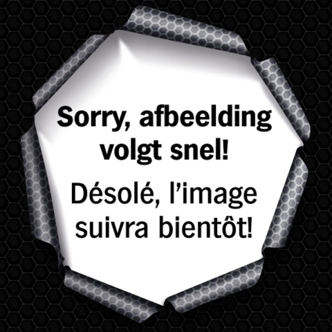 HAZET Krachttorsiebits 2204SLG-6/3 · 1/4 inch (6,3 mm) zeskant massief · Binnen-zeskant-profiel · 3-delig · SW 6 mm