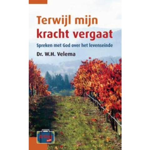 Terwijl mijn kracht vergaat (Paperback)