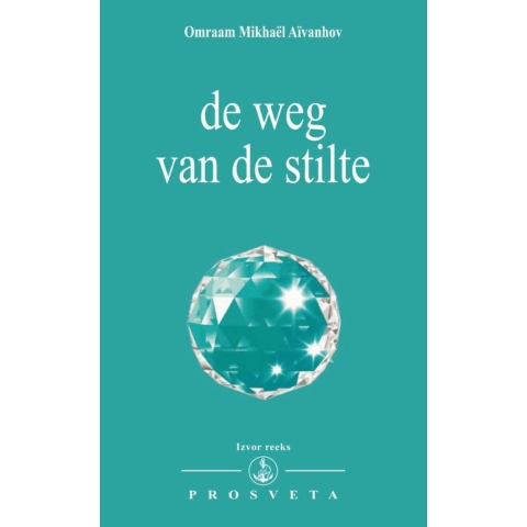 De weg van de stilte (Paperback)