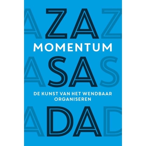 Momentum (Hardback)