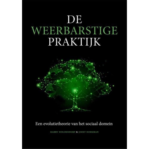 De weerbarstige praktijk (Paperback)