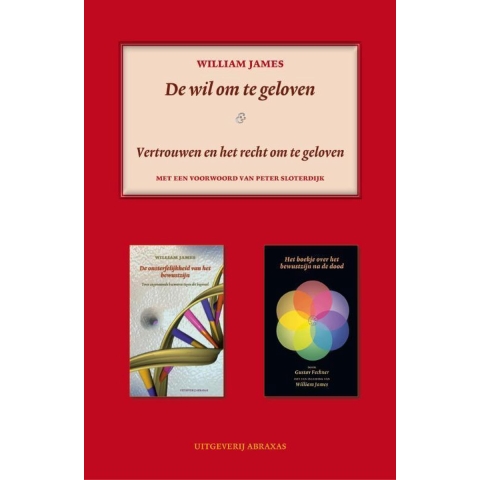 De wil om te geloven & religieus vertrouwen en het recht om te geloven (Paperback)