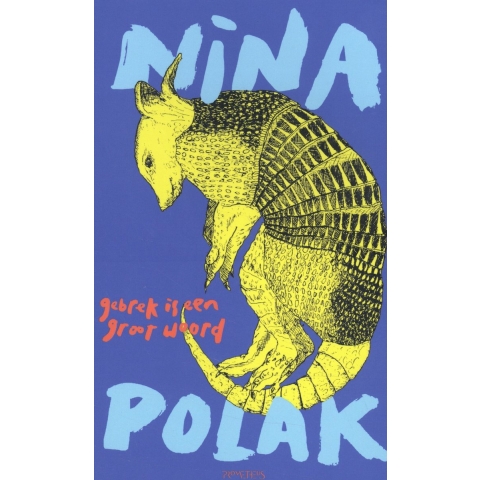 Gebrek is een groot woord (Paperback)