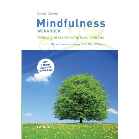 Mindfulness werkboek (Paperback)