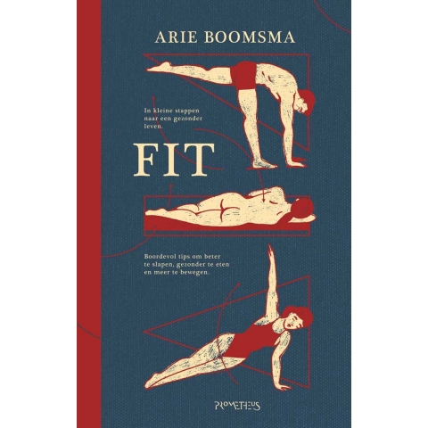Fit (Paperback)