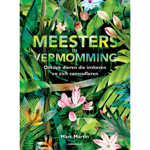 Meesters in vermomming (Hardback)