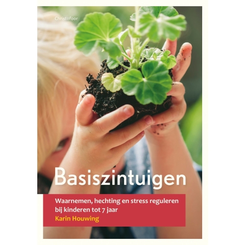 Basiszintuigen (Paperback)