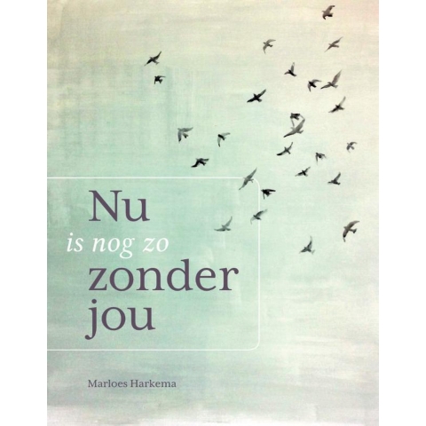 Nu is nog zo zonder jou (Paperback)