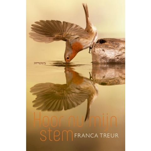 Hoor nu mijn stem (Hardback)