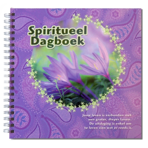Spiritueel dagboek (Paperback)