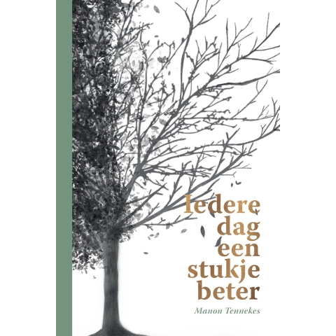 Iedere dag een stukje beter (Paperback)