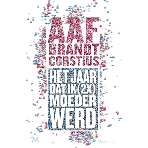 Het jaar dat ik (2x) keer moeder werd (Paperback)