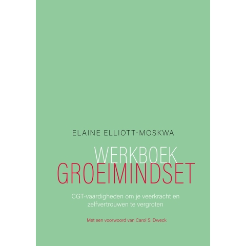 Werkboek groeimindset (Paperback)