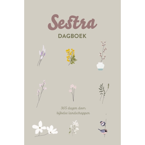 Sestra dagboek (Hardback)
