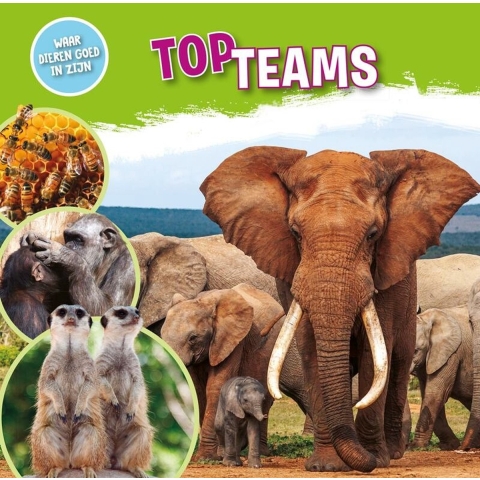 Topteams (Hardback)