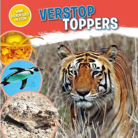 Verstoptoppers (Hardback)
