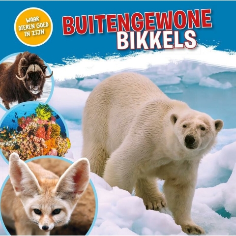 Buitengewone bikkels (Hardback)