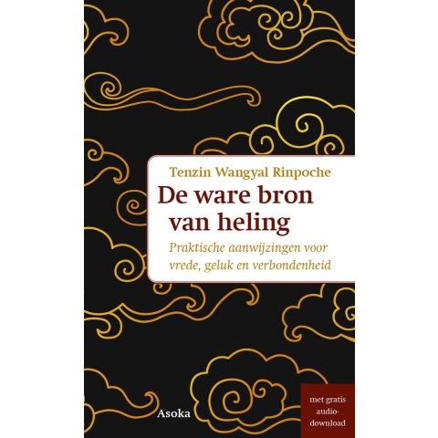 De ware bron van heling (Paperback)