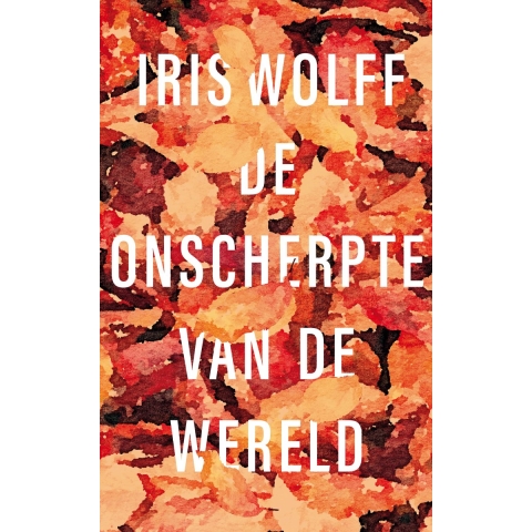 De onscherpte van de wereld (Hardback)