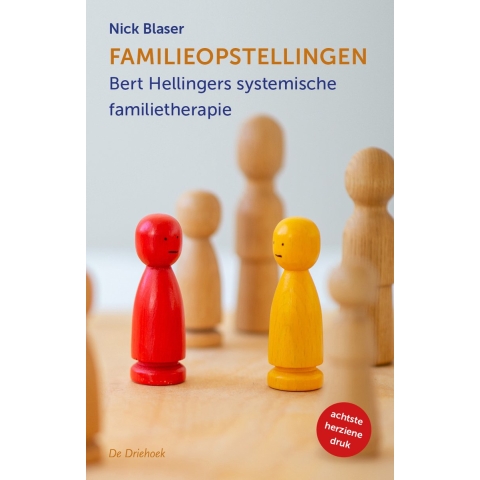 Familieopstellingen (Paperback)
