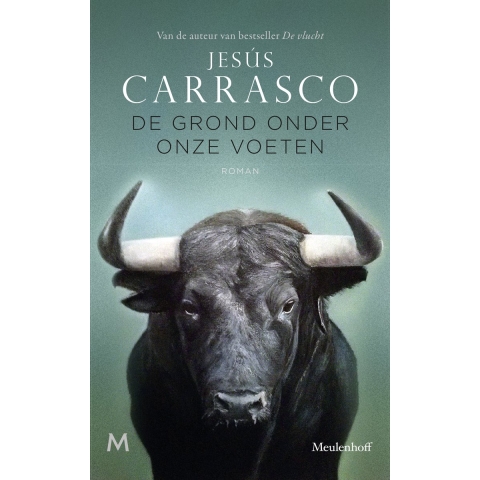 De grond onder onze voeten (Paperback)